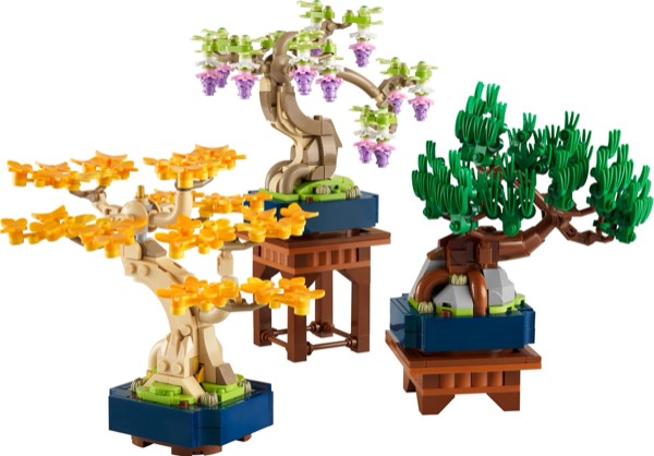 Mini Bonsai Trees (#10373)